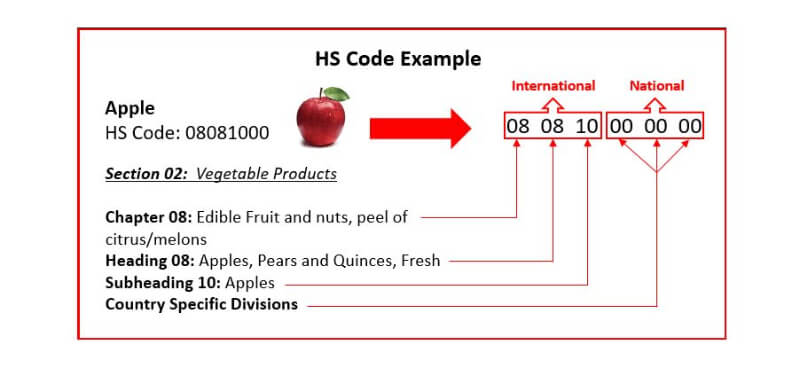 Mã Hs Code Là Gì? Cách Tra Mã Hs Chính Xác [Update Mới]