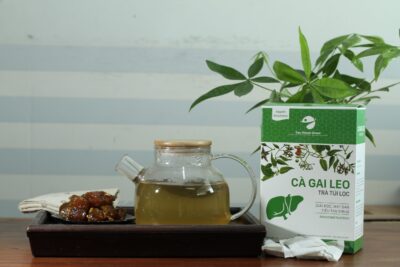 Uống trà túi lọc cà gai leo có tốt không?