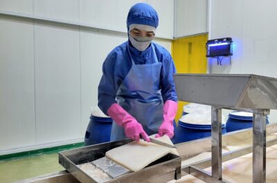 Quy Trình Sản Xuất Thạch Dừa Và Đóng Gói Tự Động 11 quy trình sản xuất thạch dừa