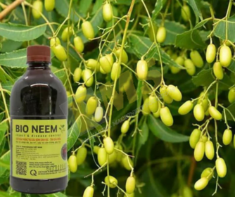 Quy trình sản xuất thuốc trừ sâu sinh học