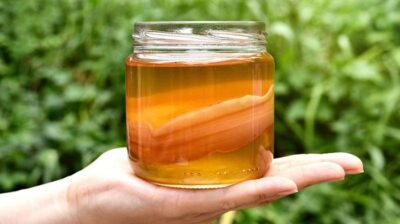 Scoby Là Gì? Hướng Dẫn Cách Nuôi Scoby Chuẩn Tại Nhà 5 Scoby là gì