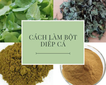 Cách làm bột diếp cá