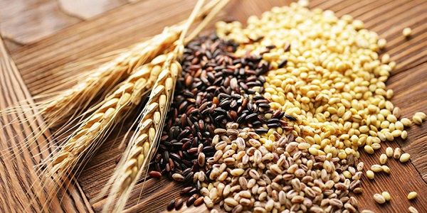 Tổng hợp một số loại hạt ngũ cốc phổ biến hiện nay