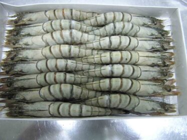 Quy Trình Sản Xuất Tôm Đông Lạnh Đạt Chuẩn 9 quy trình sản xuất tôm đông lạnh