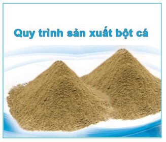 Quy Trình Sản Xuất Bột Cá Từ A - Z 10