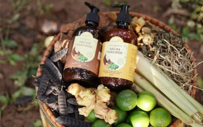 Tìm Hiểu Quy Trình Sản Xuất Dầu Gội Thảo Dược Công Nghiệp 7 quy trình sản xuất dầu gội