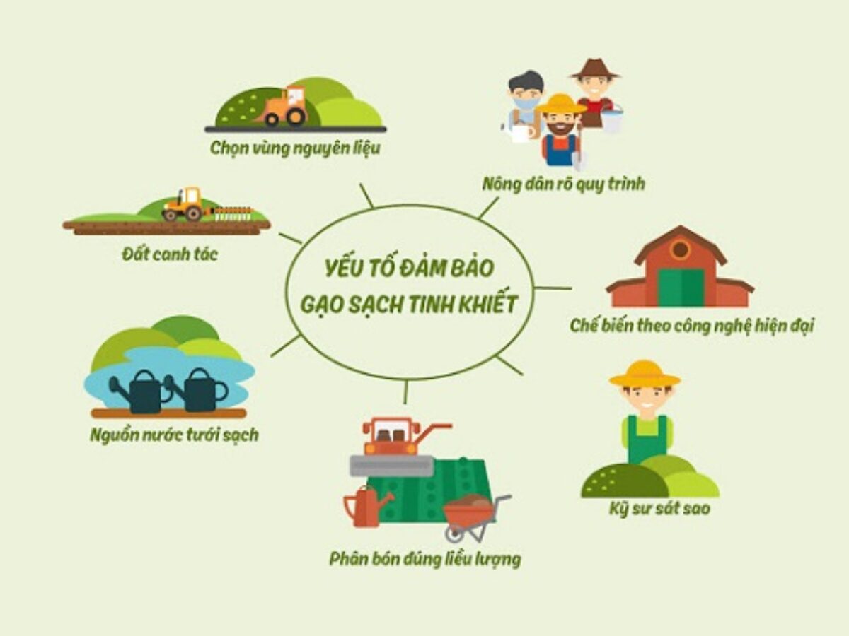 3.6. Đóng gói sản phẩm