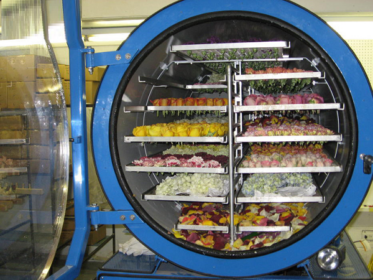 Phương Pháp Sấy Thăng Hoa Là Gì? Ưu Nhược Điểm Khi Sấy Thăng Hoa 1 Sấy thăng hoa là gì?