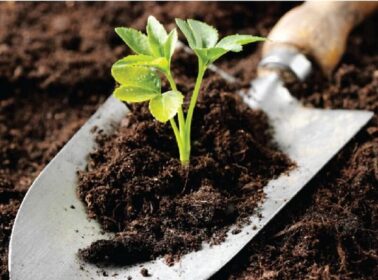 Tìm Hiểu Quy Trình Sản Xuất Phân Bón Hữu Cơ 5 quy trình sản xuất phân bón