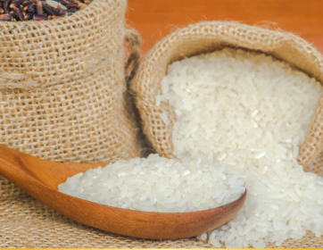 cách bảo quản gạo không bị mọt