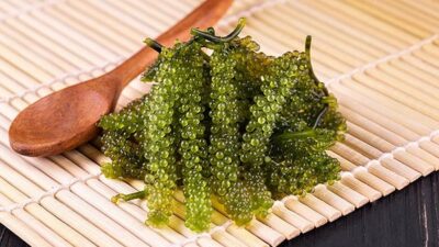 Hướng Dẫn Cách Bảo Quản Rong Nho Tươi, Giòn, Để Được Lâu 4 cách bảo quản rong nho tươi