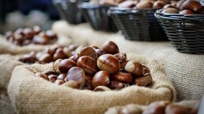 Các Cách Bảo Quản Hạt Dẻ Tươi Để Được Lâu Không Bị Hỏng 6 cách bảo quản hạt dẻ tươi