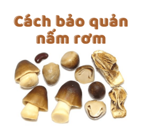 cách bảo quản nấm rơm