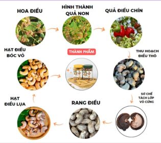 Quy trình sản xuất hạt điều rang muối