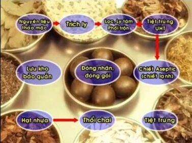 Tìm Hiểu Quy Trình Sản Xuất Trà Thảo Mộc Tiêu Chuẩn, Đảm Bảo Chất Lượng 8 quy trình sản xuất trà thảo mộc