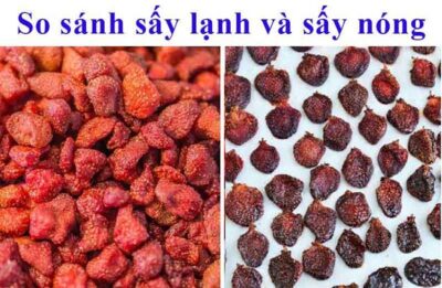 Tìm Hiểu Chi Tiết Sự Khác Biệt Giữa Sấy Lạnh Và Sấy Nóng  9 sấy lạnh và sấy nóng