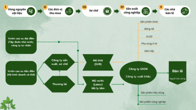 Tìm Hiểu Quy Trình Sản Xuất Cao Su Từ A - Z 13 quy trình sản xuất cao su