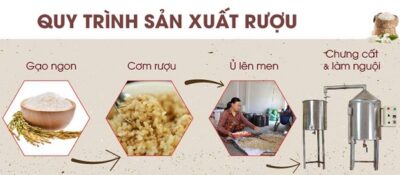 Tìm Hiểu Quy Trình Sản Xuất Rượu Công Nghiệp 7 Quy trình sản xuất rượu gạo theo quy mô công nghiệp