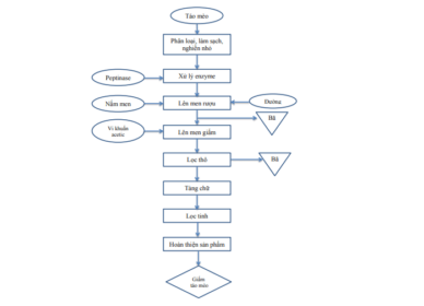 Quy Trình Sản Xuất Giấm Táo 12 quy trình sản xuất giấm táo
