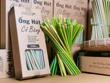 quy trình sản xuất ống hút cỏ