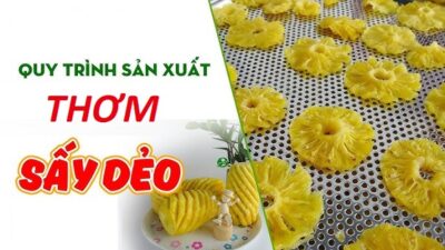 Quy Trình Sản Xuất Dứa Sấy Dẻo Hiện Đại, Thơm Ngon 6 quy trình sản xuất thơm sấy dẻo