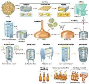 Tìm Hiểu Chi Tiết Về Quy Trình Sản Xuất Bia 9 quy trình sản xuất bia