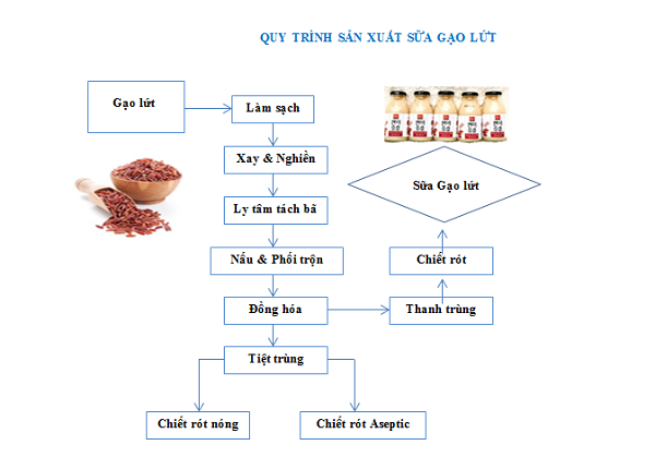 Quy trình sản xuất sữa gạo lứt chi tiết từng công đoạn