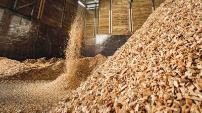 Quy Trình Sản Xuất Dăm Gỗ Chất Lượng Có Những Công Đoạn Nào?  2 quy trình sản xuất dăm gỗ