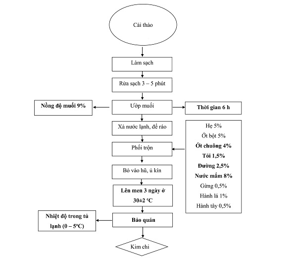Tìm Hiểu Quy Trình Sản Xuất Kim Chi Hàn Quốc Quy Mô Công Nghiệp 6