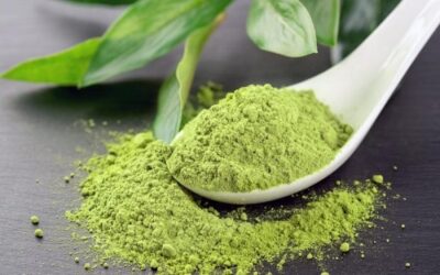 Matcha Là Gì? Tác Dụng Và Những Điều Lưu Ý Khi Sử Dụng Matcha 5 Matcha là gì?