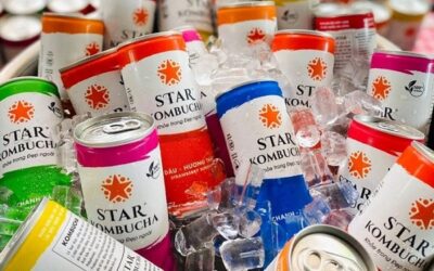 quy trình sản xuất kombucha