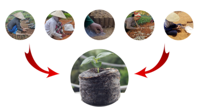 Tìm Hiểu Quy Trình Sản Xuất Viên Nén Xơ Dừa 10 quy trình sản xuất viên nén xơ dừa