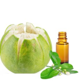 quy trình sản xuất tinh dầu bưởi