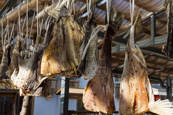 Tổng Hợp Các Cách Bảo Quản Thực Phẩm Hiệu Quả Nhất Hiện Nay 8 Bảo quản bằng cách phơi khô, sấy khô