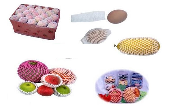 Cách đóng gói trái cây đi máy bay an toàn, hiệu quả 7 Cách đóng gói trái cây đi máy bay