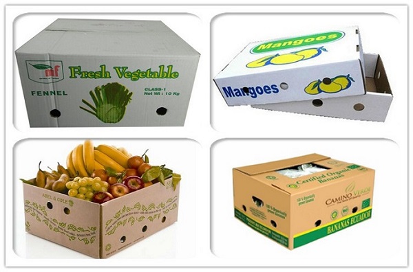 Cách Đóng Gói Trái Cây Chuyên Nghiệp, Đảm Bảo Chất Lượng 4 Thùng carton đóng gói trái cây