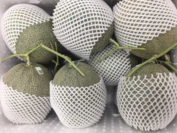 Cách Đóng Gói Trái Cây Chuyên Nghiệp, Đảm Bảo Chất Lượng 6 Lưu ý quan trọng khi đóng gói trái cây
