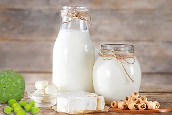 Quy Trình Sản Xuất Sữa Hạt Sen Chi Tiết Từ A - Z 7 quy trình sản xuất sữa hạt sen
