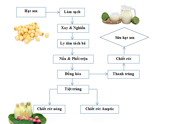 Quy Trình Sản Xuất Sữa Hạt Sen Chi Tiết Từ A - Z 6 Quy trình sản xuất sữa hạt sen chi tiết từng bước