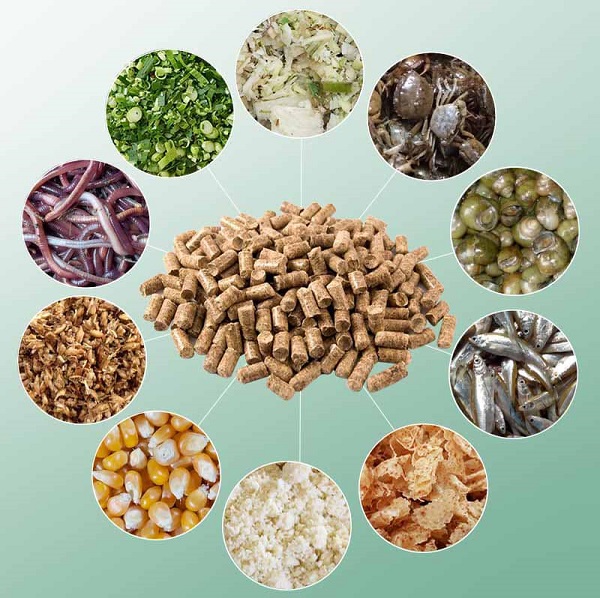 Hướng Dẫn Công Thức Làm Cám Viên Chăn Nuôi Tại Nhà 6 Lưu ý quan trọng khi làm cám viên