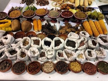 Quy Trình Tự Sản Xuất Hạt Giống Tại Nhà 4 Quy trình tự sản xuất hạt giống