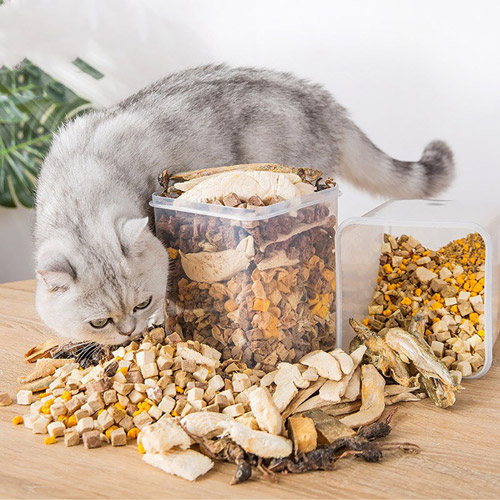 Quy Trình Sản Xuất Thức Ăn Chó Mèo 4 Tổng quan thức ăn chó mèo tại Việt Nam