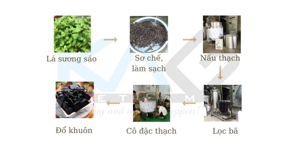 Quy Trình Sản Xuất Sương Sáo, Thạch Đen 6 7 bước trong quy trình sản xuất sương sáo chi tiết