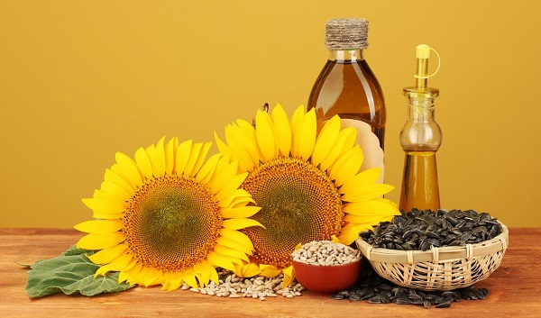 Quy Trình Sản Xuất Dầu Hướng Dương Tại Nhà Máy 10 Lợi ích của dầu hướng dương với sức khỏe