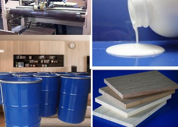 Những câu hỏi thường gặp