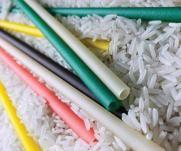 Quy Trình Sản Xuất Ống Hút Gạo Thân Thiện Với Môi Trường 10 Lưu ý khi sử dụng và bảo quản ống hút gạo