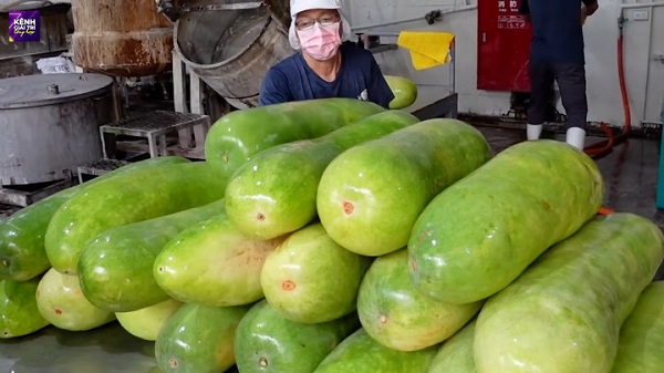 Tìm Hiểu Quy Trình Sản Xuất Trà Bí Đao Công Nghiệp 8 Bước 2 - Sơ chế nguyên liệu
