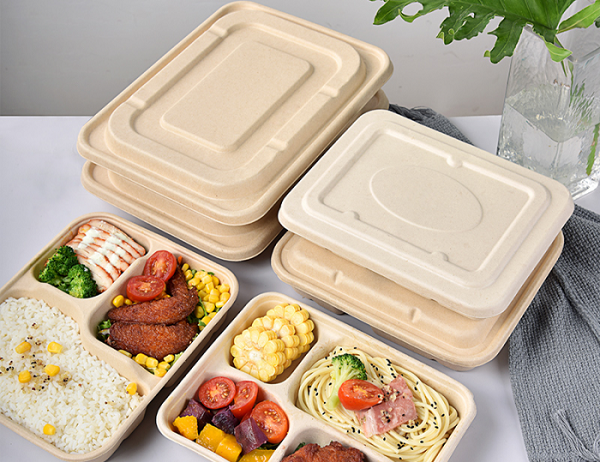 Bao bì từ bã mía (hộp, khay, tô bã mía)