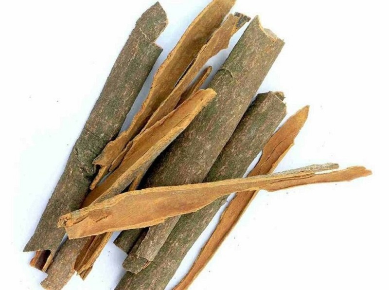 quy trình sản xuất tinh dầu quế