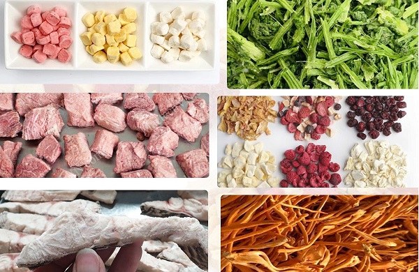 Đánh giá hai phương pháp sấy chân không và sấy thăng hoa